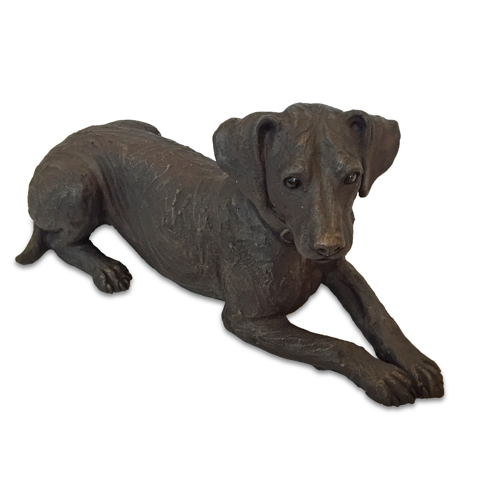 Hans, Jack Russell Dog Lying