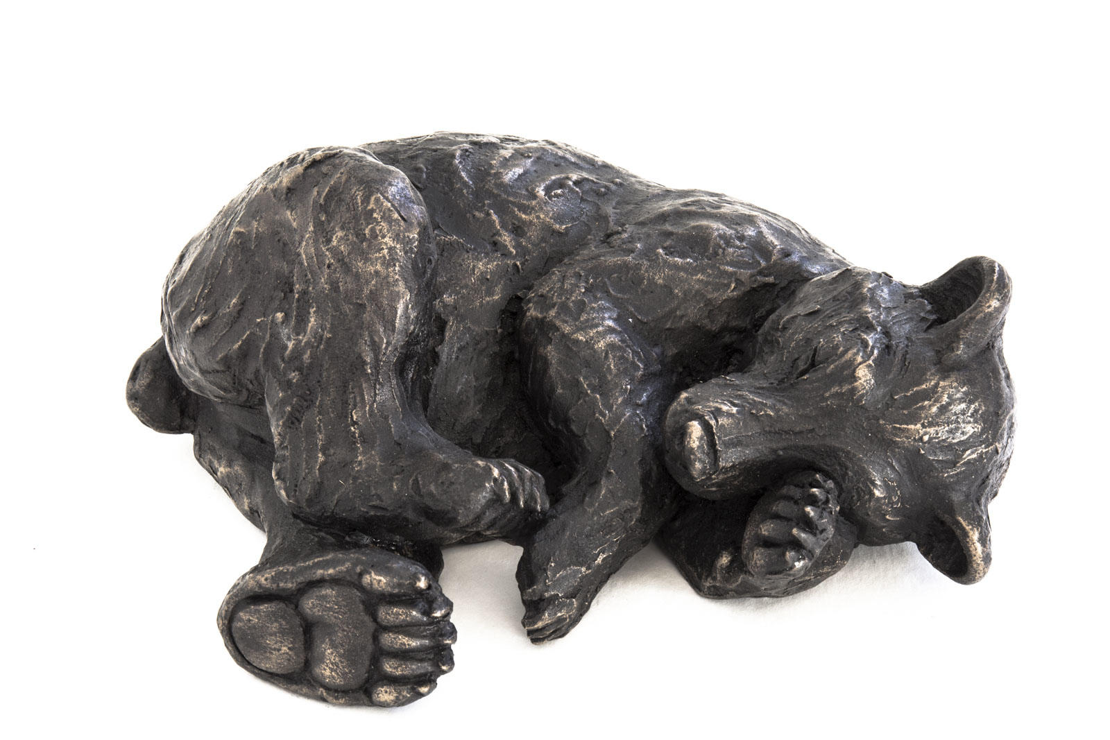 Edward Bear Cub Sleeping